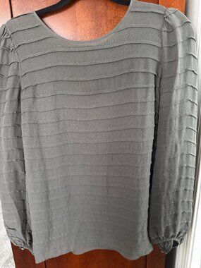 Silk Talbots LS Gray Blouse Sheer with Matching Cami, Sz 10